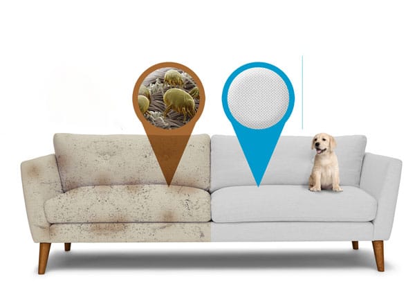 PRO MAX - Multiusos SPA