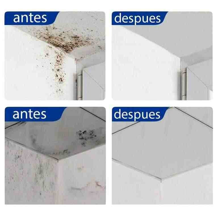 PRO MAX - Multiusos SPA